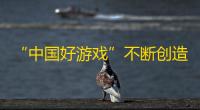 “中国好游戏”不断创造国际影响力